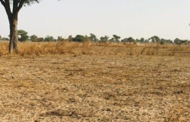 TOUBA TOUL : Terrain de 8 098 m² à vendre