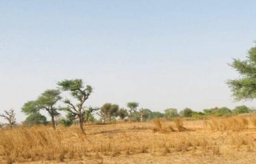 TOUBA TOUL : Terrain de 8 098 m² à vendre