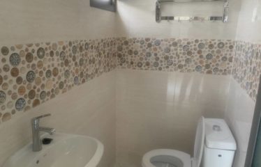 SALY : Jolie villa neuve de plain-pied, piscine sur 300 m2 de terrain à vendre