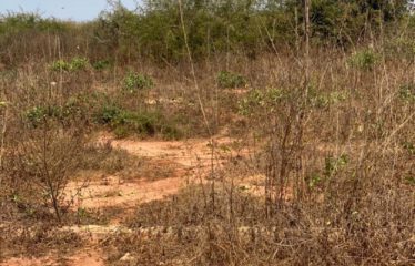THIES : Terrain 5 hectares à vendre