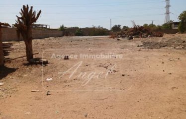 DIAMNIADIO : Dépôt de 5900m² à louer