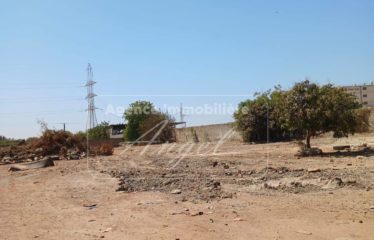 DIAMNIADIO : Dépôt de 5900m² à louer
