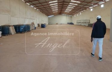 DIAMNIADIO : Hangars de 1600m² à louer