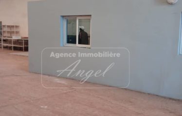 DIAMNIADIO : Hangars de 1600m² à louer