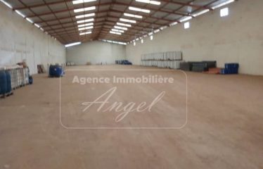 DIAMNIADIO : Hangars de 1600m² à louer