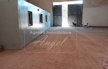 DIAMNIADIO : Hangars de 1600m² à louer