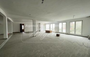 DAKAR ALMADIES : Penthouse à louer 375 m²