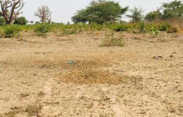 CHERIF LÔ : Terrain de 4794 m² à vendre