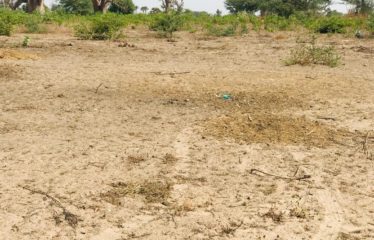 CHERIF LÔ : Terrain de 4794 m² à vendre