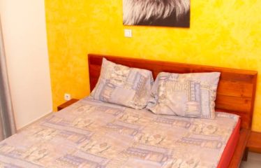 NGAPAROU : Appartement F4 meublé à vendre