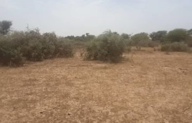 TASSETTE : Terrain de 1,03 hectare à vendre