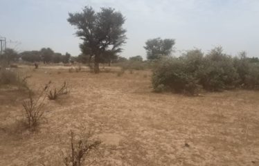 TASSETTE : Terrain de 1,03 hectare à vendre