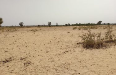 TATAGUINE : Terrain de 1,46 hectare à vendre