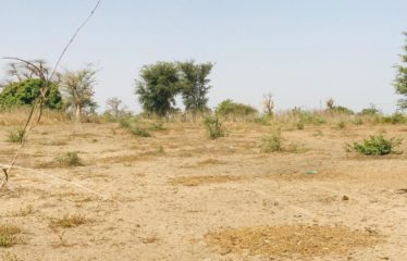 CHERIF LÔ : Terrain de 4794 m² à vendre