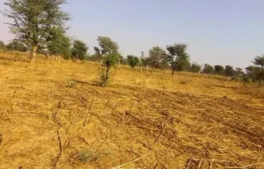 NOTTO DIOBASS : Terrain de 1,5 hectare à vendre