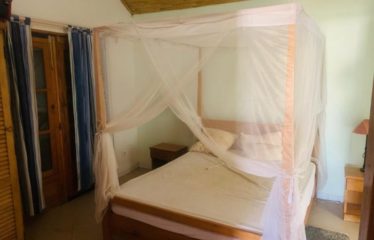 SALY : Maison de 4 chambres avec piscine à louer