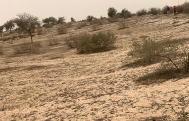 KEBEMER : Terrain de 1,67 hectare à vendre