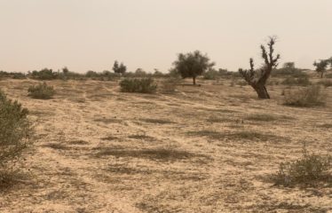 KEBEMER : Terrain de 1,67 hectare à vendre