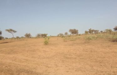 THIENABA : Terrain de 3 hectares à vendre