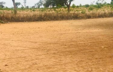 NOTTO DIOBASS : Terrain de 3912 m² à vendre