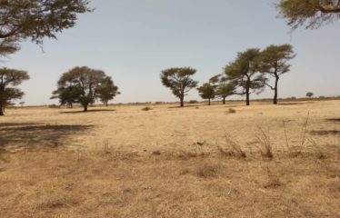 TASSETTE : Terrain de 1,44 hectare à vendre