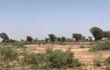 NOTTO DIOBASS : Terrain de 7842 m² à vendre