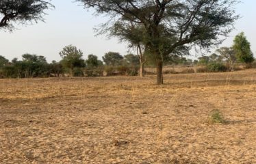 Terrain de 1,25 hectare vers Tassette