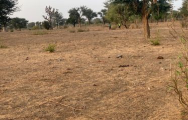 TASSETTE : Terrain de 6591 m² à vendre
