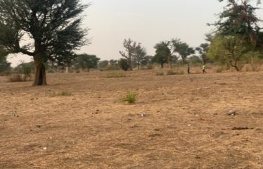 TASSETTE : Terrain de 6591 m² à vendre
