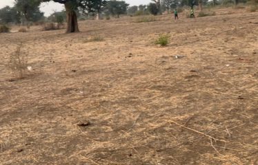 TASSETTE : Terrain de 6591 m² à vendre