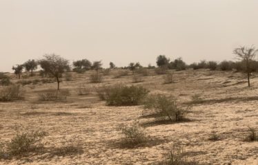 KEBEMER : Terrain de 1,67 hectare à vendre