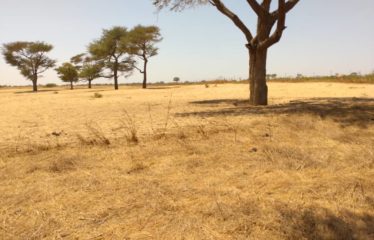 TASSETTE : Terrain de 1,44 hectare à vendre