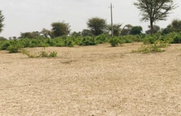 THIENABA : Terrain de 8,2 hectares à louer