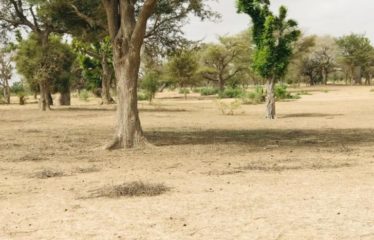 THIENABA : Terrain de 8,2 hectares à louer