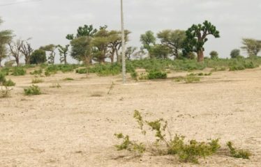 THIENABA : Terrain de 8,2 hectares à louer