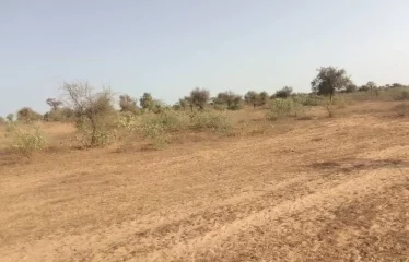THIENABA : Terrain de 6039 m² à vendre