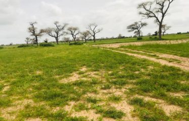 TASSETTE : Terrain de 9739 m² à vendre