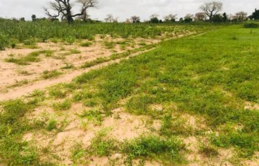 TASSETTE : Terrain de 9739 m² à vendre