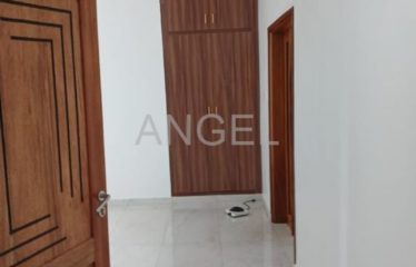 DAKAR NGOR : Joli appartement à louer à Ngor-Almadies