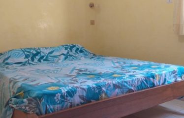 SALY : Maison R+1 idéale pour investissement locatif