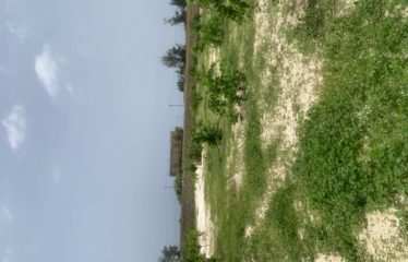 LAC ROSE : Terrains à vendre