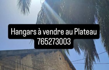 DAKAR PLATEAU : Hangars à vendre au Plateau