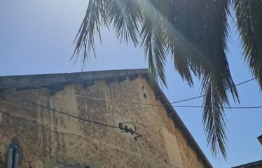 DAKAR PLATEAU : Hangars à vendre au Plateau