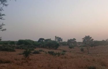 MBORO : Terrains agricole à Mboro