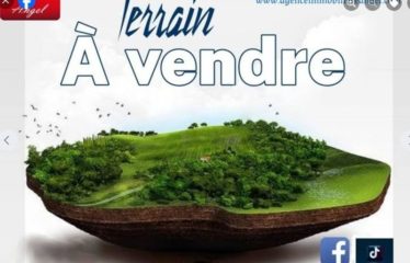 DAKAR MEDINA : Terrain à vendre à rebeus