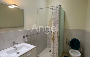 DAKAR PLATEAU : Appartement de 250 m² à louer situé dans le Haut Plateau