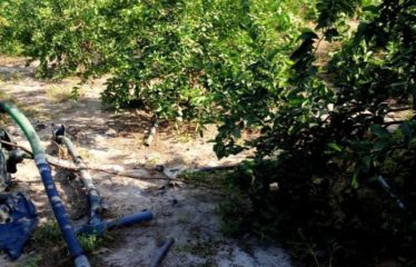 MBORO : Verger de 6500m2 à Darou koudoss Mboro