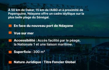 NDAYANE : Terrain à vendre à Ndayane Opportunité unique