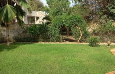 DAKAR ALMADIES : Terrain 980m² à vendre