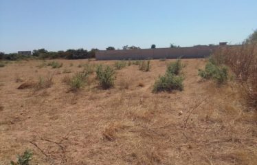 NGUERIGNE : Terrain de 10 000m² à vendre à Nguerigne Bambara